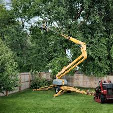 Best Commercial Tree Services  in Trexlertown, PA