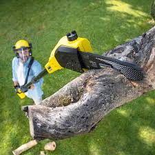 Best Lawn Pest Prevention  in Trexlertown, PA